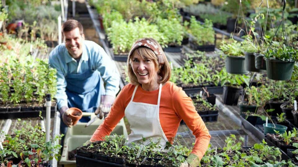 Native Plant Nursery Near Me